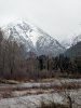 IMG_20190413_071851.jpg