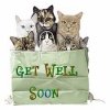 upload_2019-4-18_6-12-24.jpeg