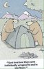 FB_IMG_15555945459081.jpg