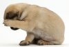 upload_2019-4-19_19-53-45.png