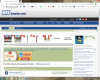 DIS - usable screen.png