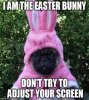 C56A5749-65A1-433B-8DAB-78E0CD30903C.jpeg