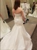 Dress Back .jpg