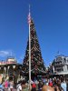 MagicKingdomtree.jpg