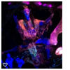 upload_2019-4-21_18-20-9.png