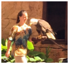 upload_2019-4-21_18-27-25.png