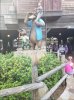 20181016_170049.jpg