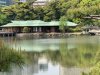 C822C571-39D4-46AE-8E92-82FC2FBD90D3.jpeg C822C571-39D4-46AE-8E92-82FC2FBD90D3.jpeg