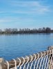20190424_214032.jpg