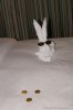 20180905114TowelAnimal.jpg