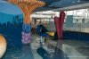 20180906123DorysReef.jpg