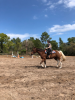 upload_2019-4-27_10-13-50.png