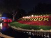 IMG_1520 - Copy.JPG