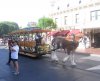 IMG_3512 - Copy.JPG