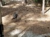 20190314_112028_small.jpg