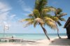 IMG_2852small.jpg