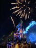 IMG_4260.JPG