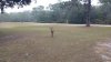 FW dec 18 deer.jpg