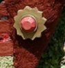 crop 7259.jpg