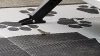 20190315_135726_small.jpg