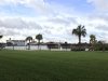 IMG_8737.jpg