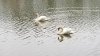Resized_20190316_185643_small.jpg Resized_20190316_185643_small.jpg