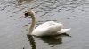 Resized_20190316_185655_small.jpg Resized_20190316_185655_small.jpg