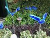 thumbnail_IMG_5945.jpg