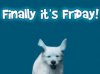 upload_2019-5-3_6-2-22.jpeg