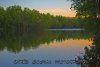 IMG_8479 small.jpg