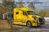 IMG_8429small.jpg
