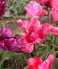 2019-05-05-13-21-54-299.jpg