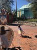 IMG_8848.jpeg