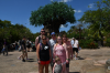 upload_2019-5-5_16-54-20.png