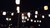 MK tangled lanterns.jpg