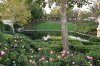 DSC_0727.JPG DSC_0727.JPG