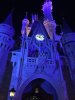 IMG_3184.jpg