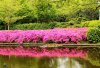 20190506_180853.jpg