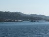 thumbnail_IMG_5970.jpg