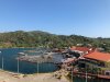 thumbnail_IMG_6006.jpg
