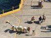 thumbnail_IMG_6008.jpg