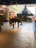 thumbnail_IMG_6018.jpg