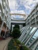 thumbnail_IMG_5953.jpg