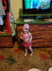 upload_2019-5-11_9-58-31.png