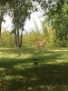 IMG_3926.JPG