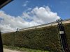 IMG_20190307_123228.jpg