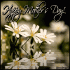 happy_mothers_day_reflecting_daisies.gif