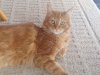 thumbnail_IMG_1807.jpg