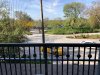 giraffe trail view.jpg
