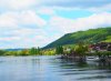 20190514_074832.jpg